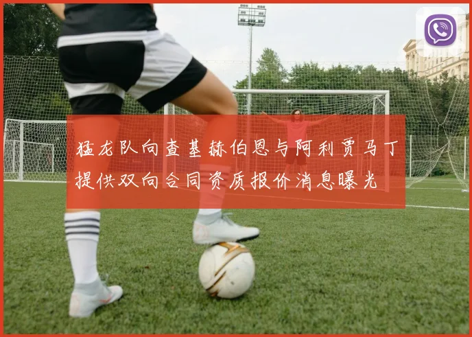 猛龙队向查基赫伯恩与阿利贾马丁提供双向合同资质报价消息曝光